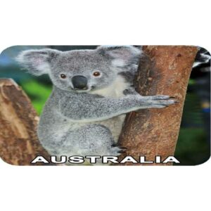 4D Koala On Branch Placemat