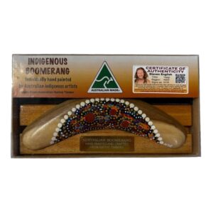 Boxed 8 Inch Dot Boomerang with Stand