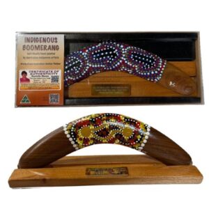 Boxed 12 Inch Dot Boomerang with Stand