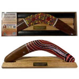 Boxed 14 Inch Dot Boomerang with Stand