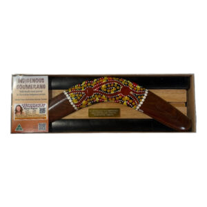 Boxed 14 Inch Dot Boomerang with Stand