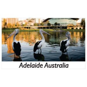 Adelaide Pelican City Magnet