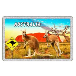 Magnet Aluminum Rectangle Roo