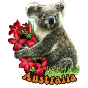 Magnet Aluminum Koala with Flowers