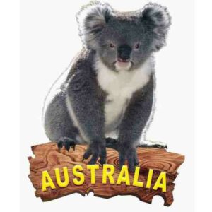 Magnet Aluminum Koala on Tree