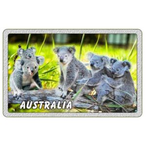 Magnet Aluminum Rectangle Koala