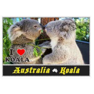 Postcard 2 Koalas