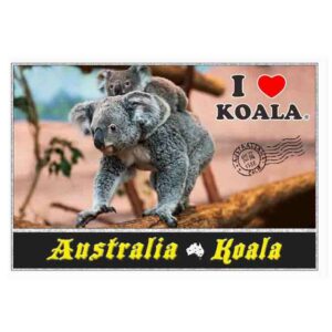 Postcard 2 Koalas