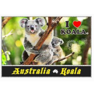 Postcard 2 Koalas Setting