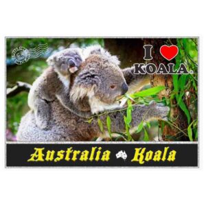 Postcard Koala with Leaf