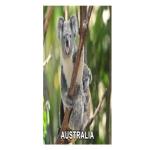 4D Koala & Baby Bookmark