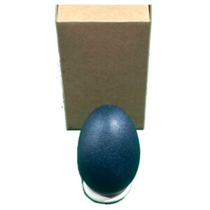 Blank Emu Egg