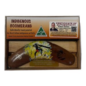 Boxed 6 Inch Arthur Conlon Boomerang with Stand
